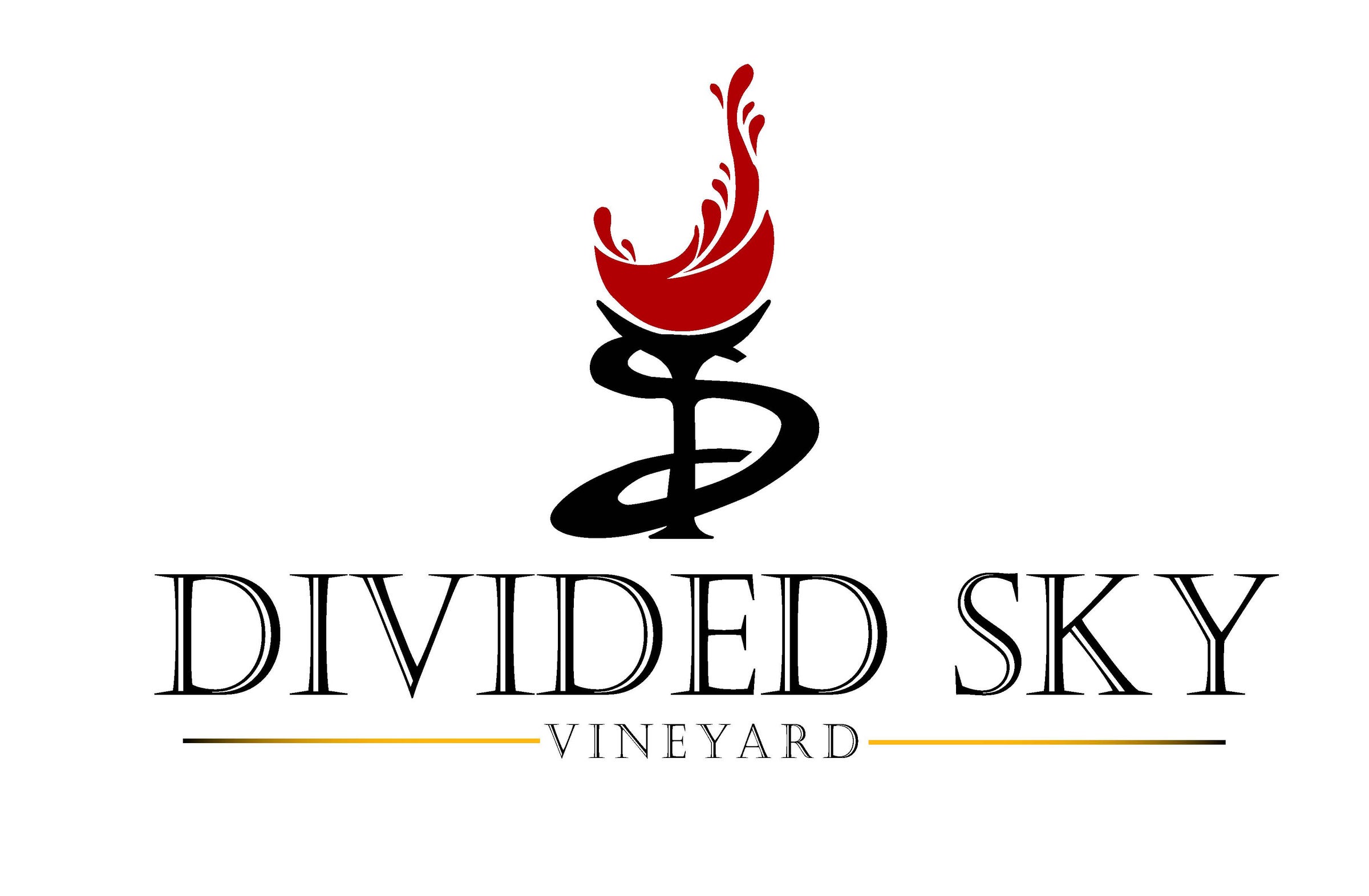 divided-sky-vineyard-logo